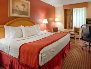 Best Western Center Inn Virginia Beach Rom bilde